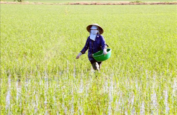  Chủ thể nào không được nhận chuyển nhượng đất trồng lúa?