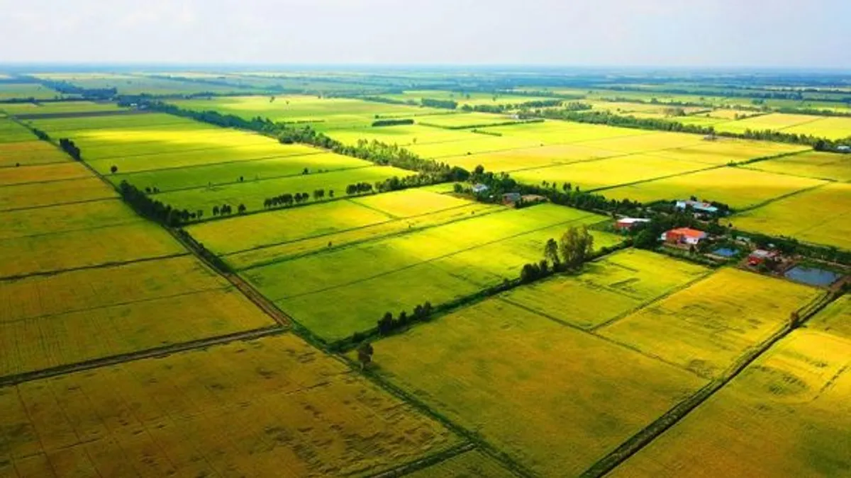 Hạn mức giao đất nông nghiệp theo Luật đất đai 2013 là bao nhiêu?
