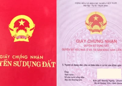 Thuế cấp giấy chứng nhận quyền sử dụng đất là bao nhiêu?