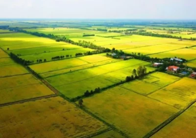 Quy định về nhận chuyển nhượng đất nông nghiệp như thế nào?